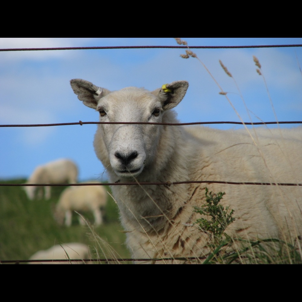 Meet your Posher, Tim